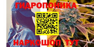 Альфа ПВП Ирбит